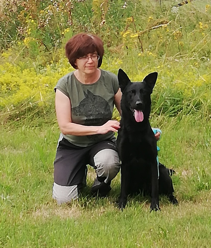 Sportovní kynologie