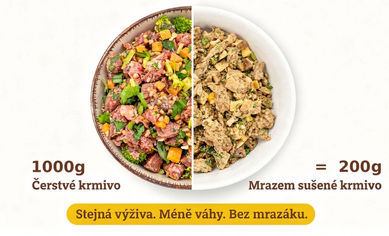 Mrazem sušený vs syrové krmivo