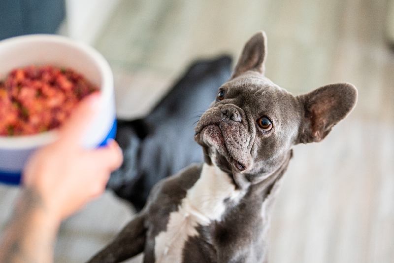 Hovězí BARF Rawfan