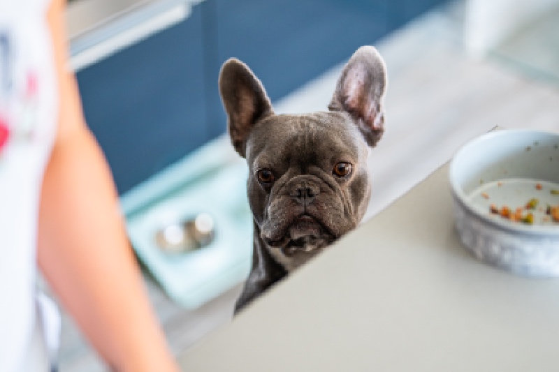 Hovězí BARF Rawfan